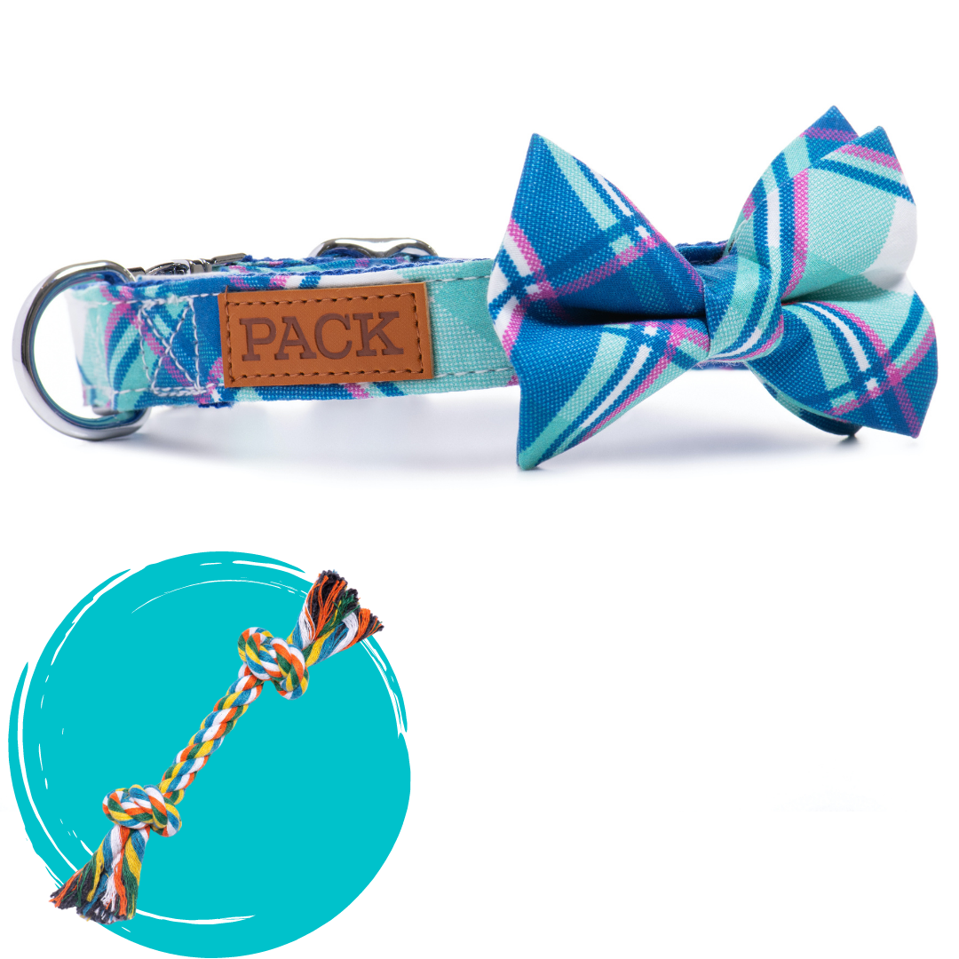 The Nantucket + Rope Toy - Free Product