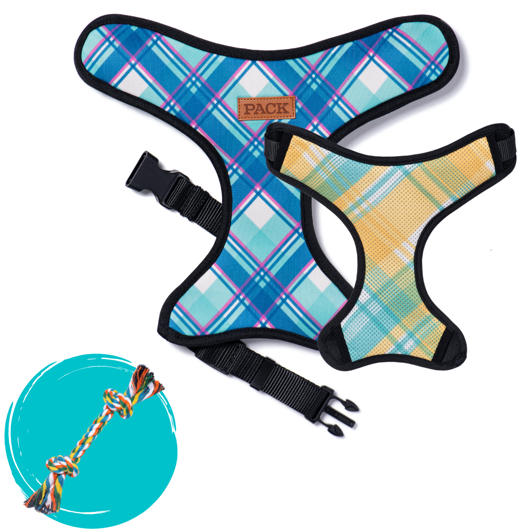 The Nantucket // Breeze + Rope Toy - Free Product