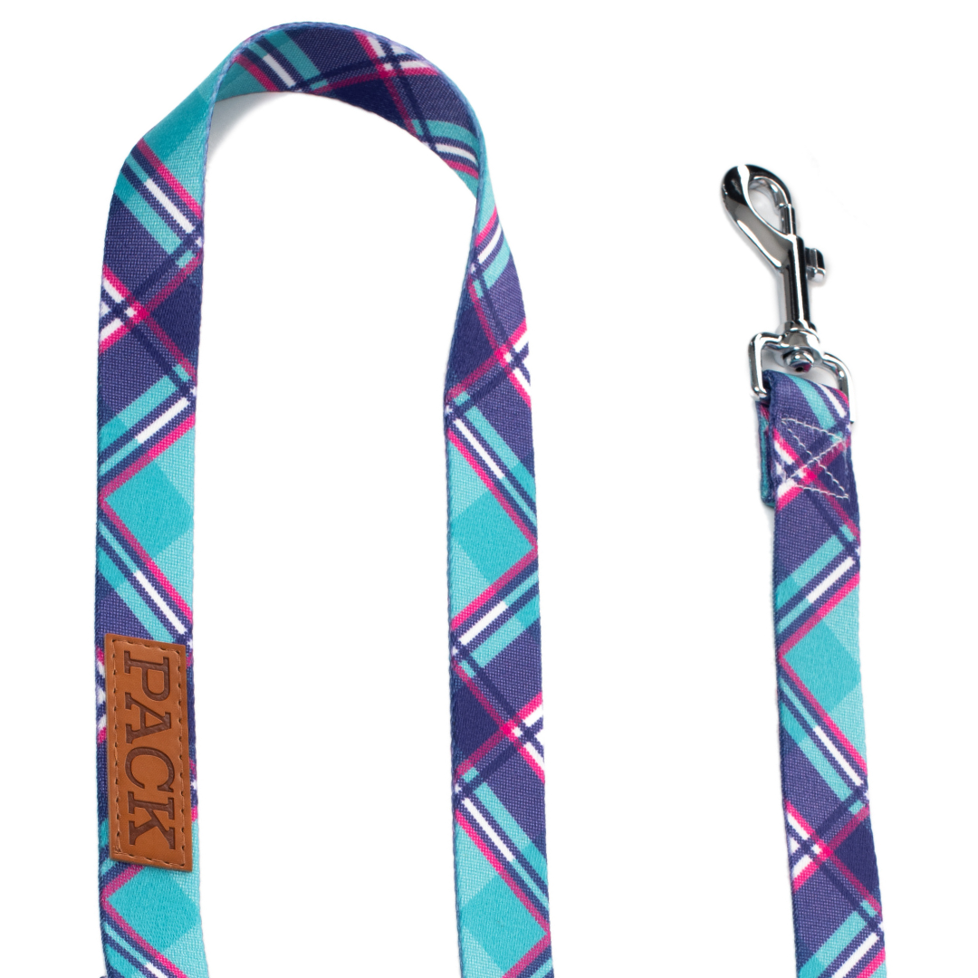 Nantucket Matching Leash + Rope Toy - Free