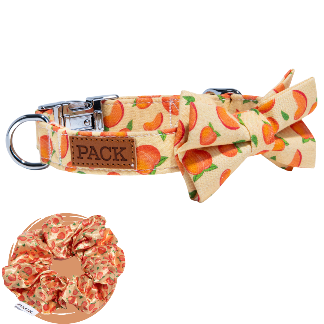 Peaches Scrunchie + Bowtie Collar