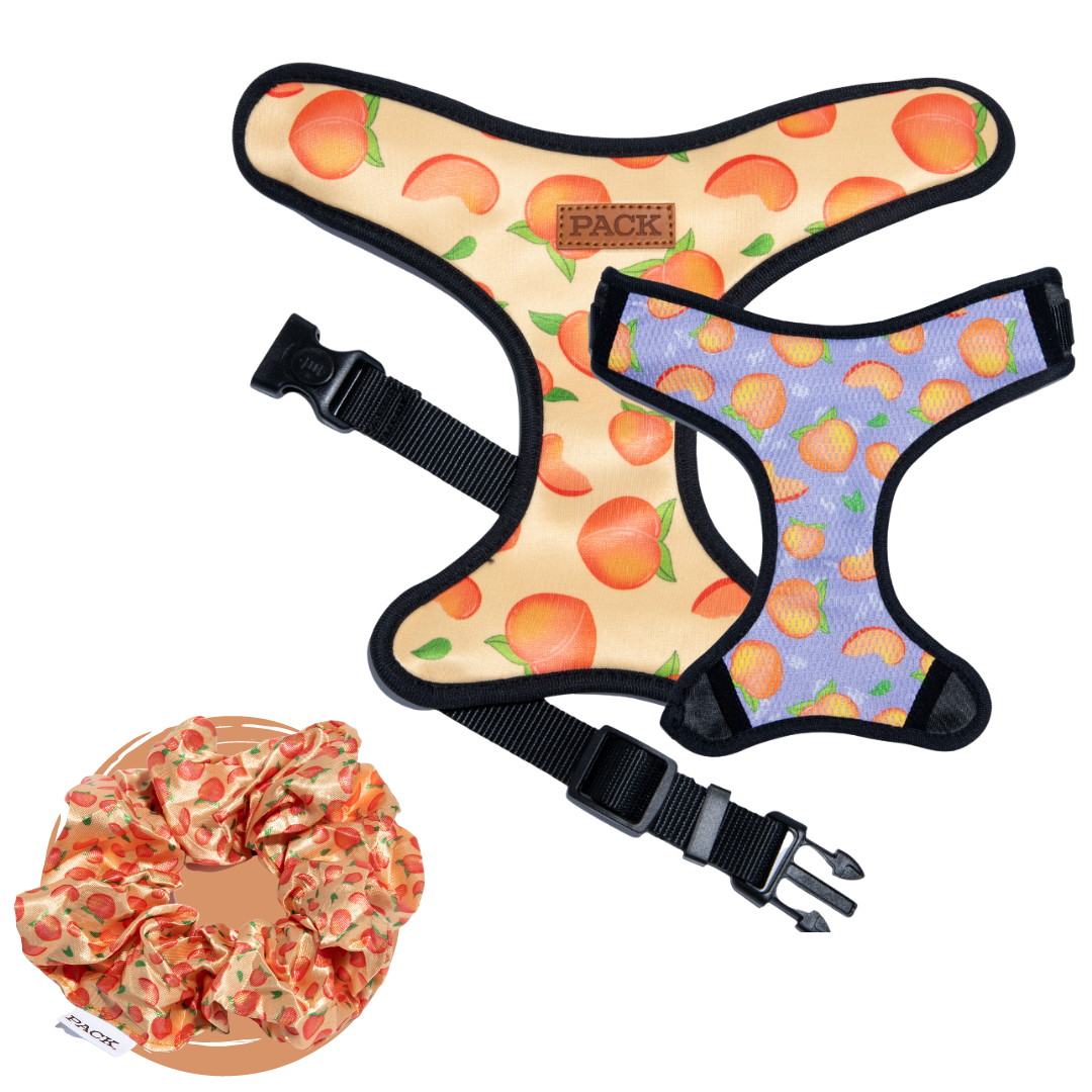 Peaches Satin Scrunchie + Reversible Harness