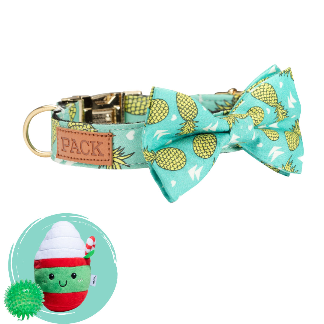 Pineapple + Minty Mocha - Free Product