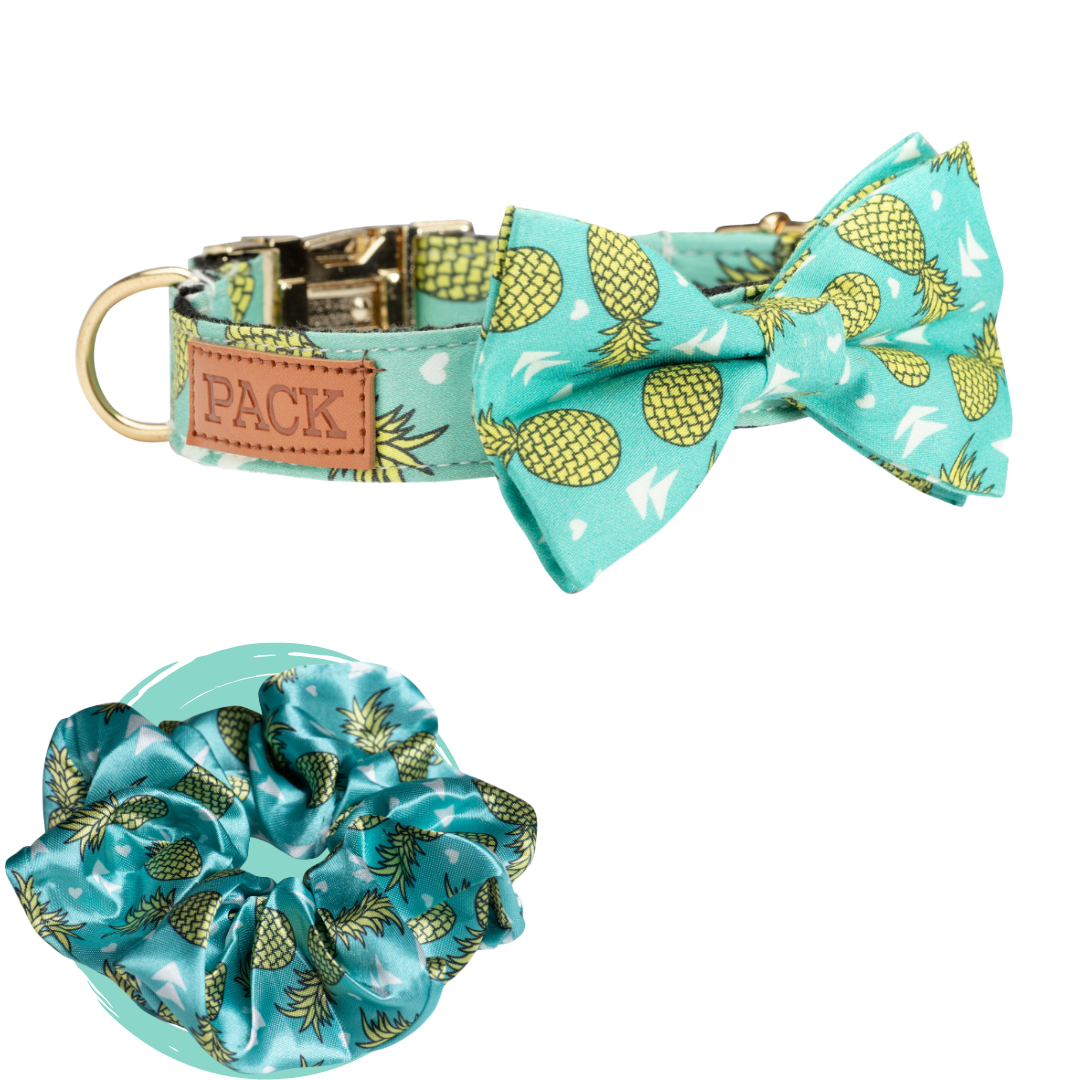 Pineapple Satin Scrunchie + Bowtie Collar