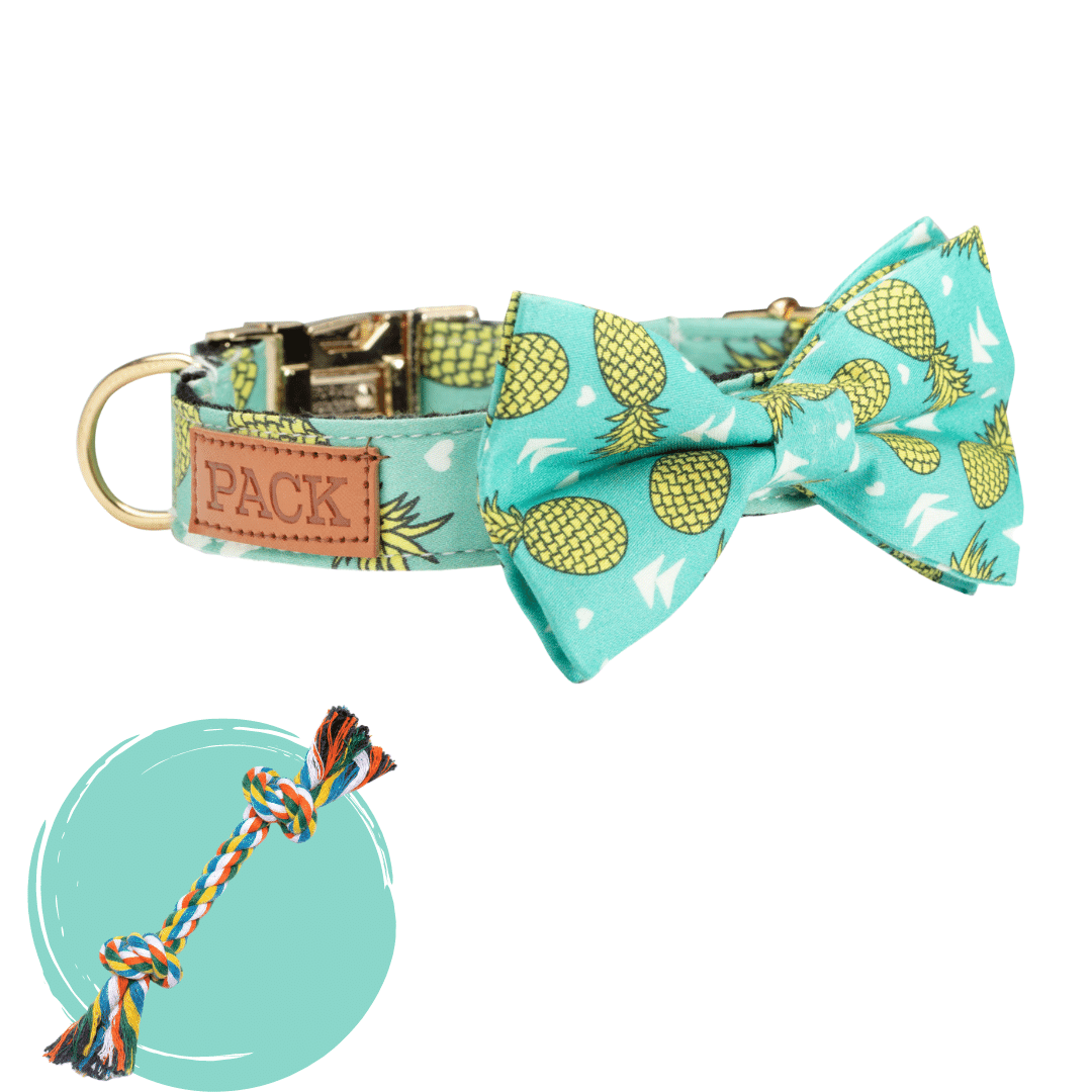 Pineapple + Rope Toy - Free Product