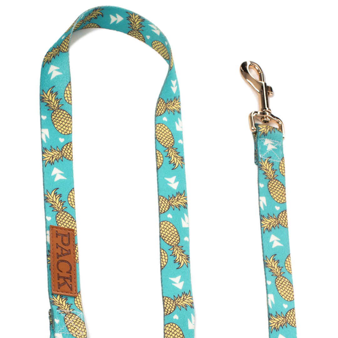 Pineapple Matching Leash + Minty Mocha - Free