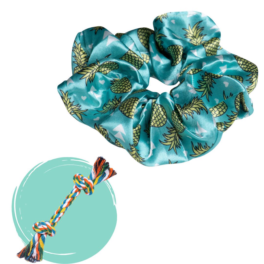Pineapple Satin Scrunchie + Rope Toy - Free Product - Pack Leashes