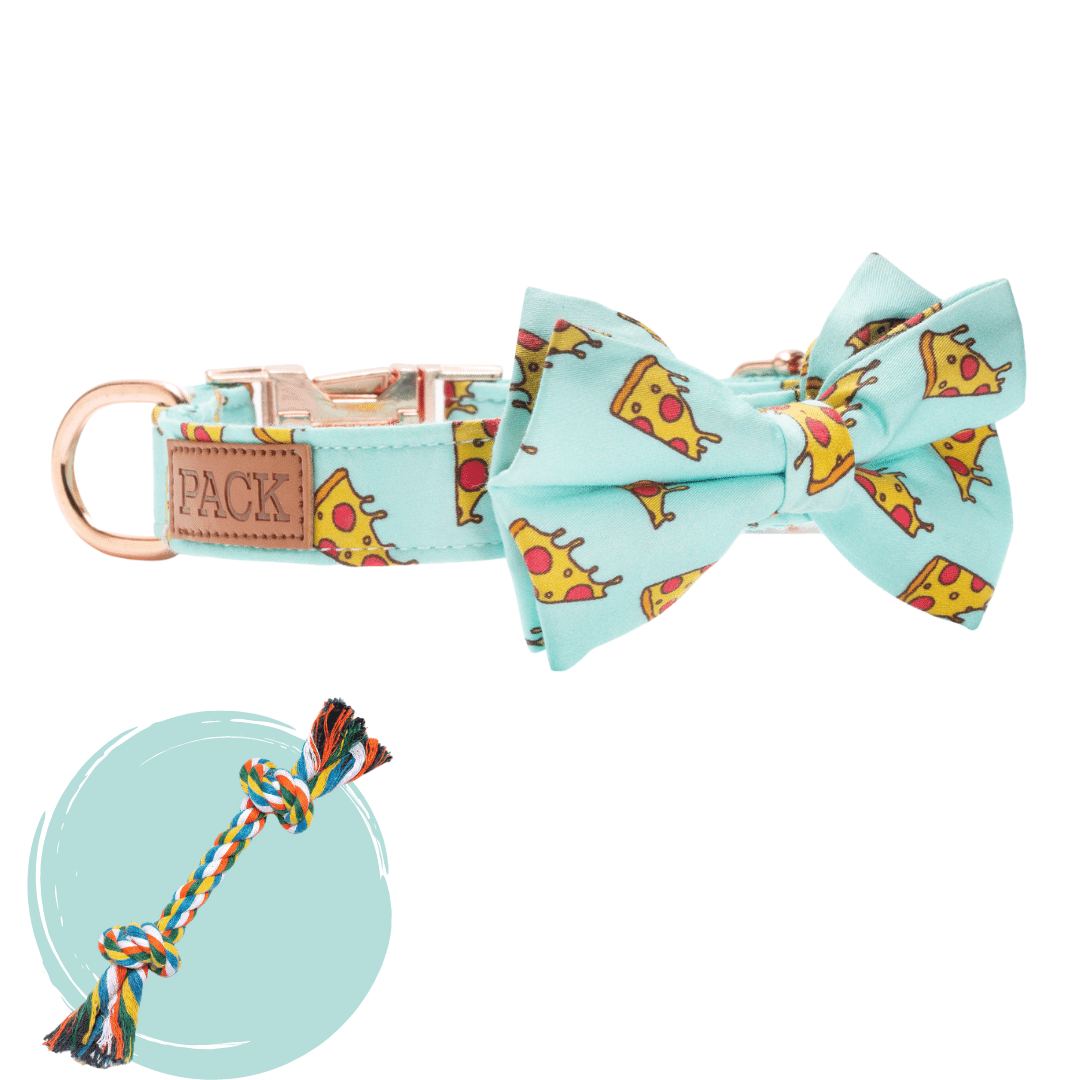 Pizza Party + Rope Toy - Free Product