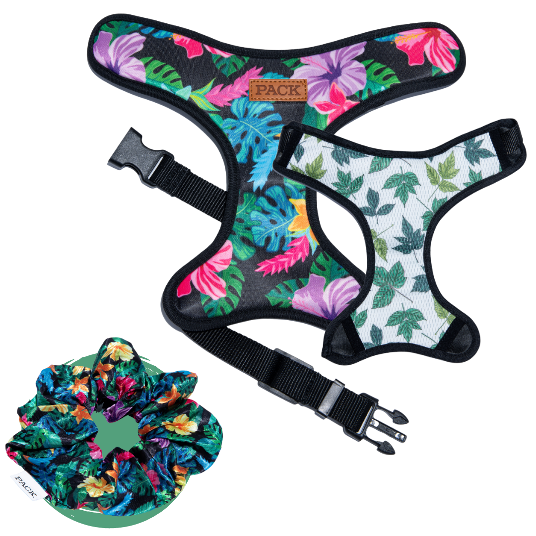 Rainforest Satin Scrunchie + Reversible Harness