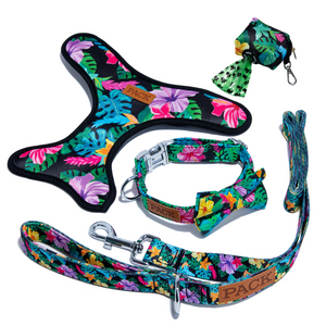 Rainforest Leash + Bowtie Collar + Reversible Harness