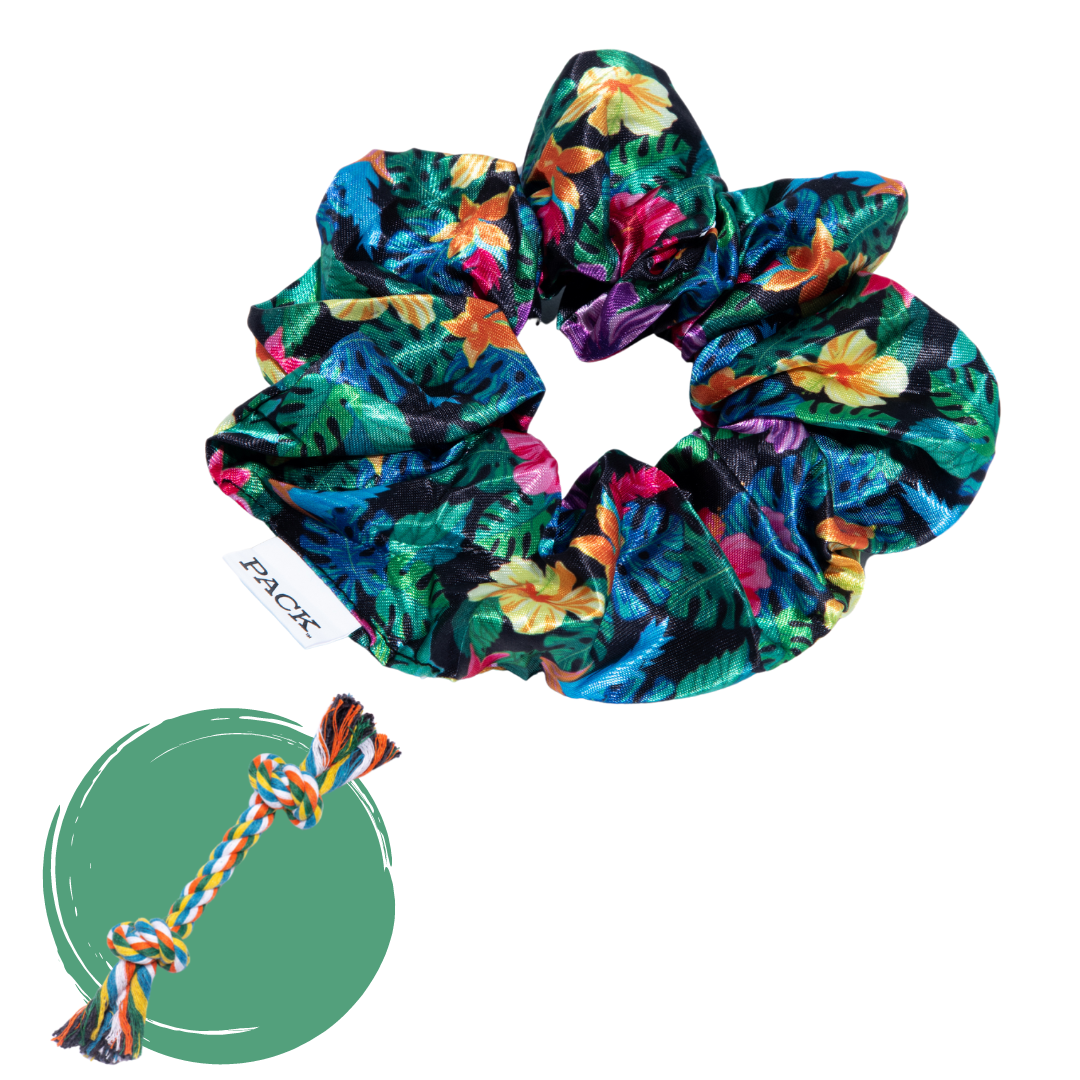 Rainforest Scrunchie + Rope Toy - Free Product