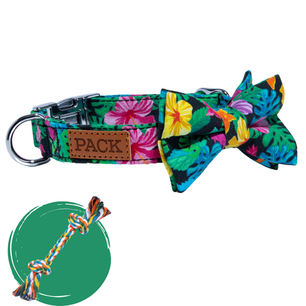 Rainforest Bow Tie Dog Collar - Pack Leashes