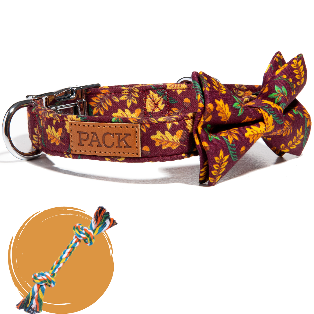 Crimson Maple + Rope Toy - Free Product