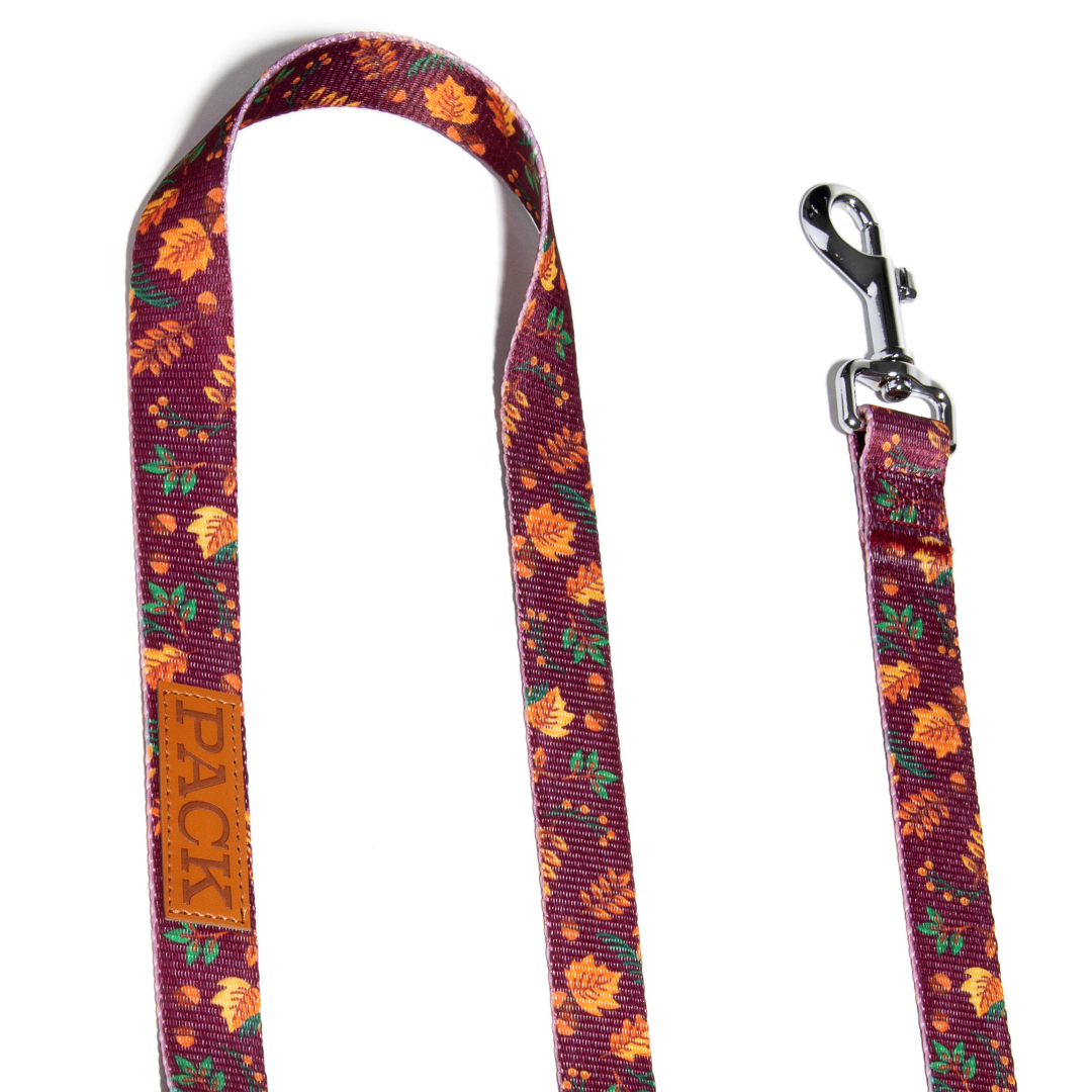 Crimson Maple Matching Leash + Rope Toy - Free