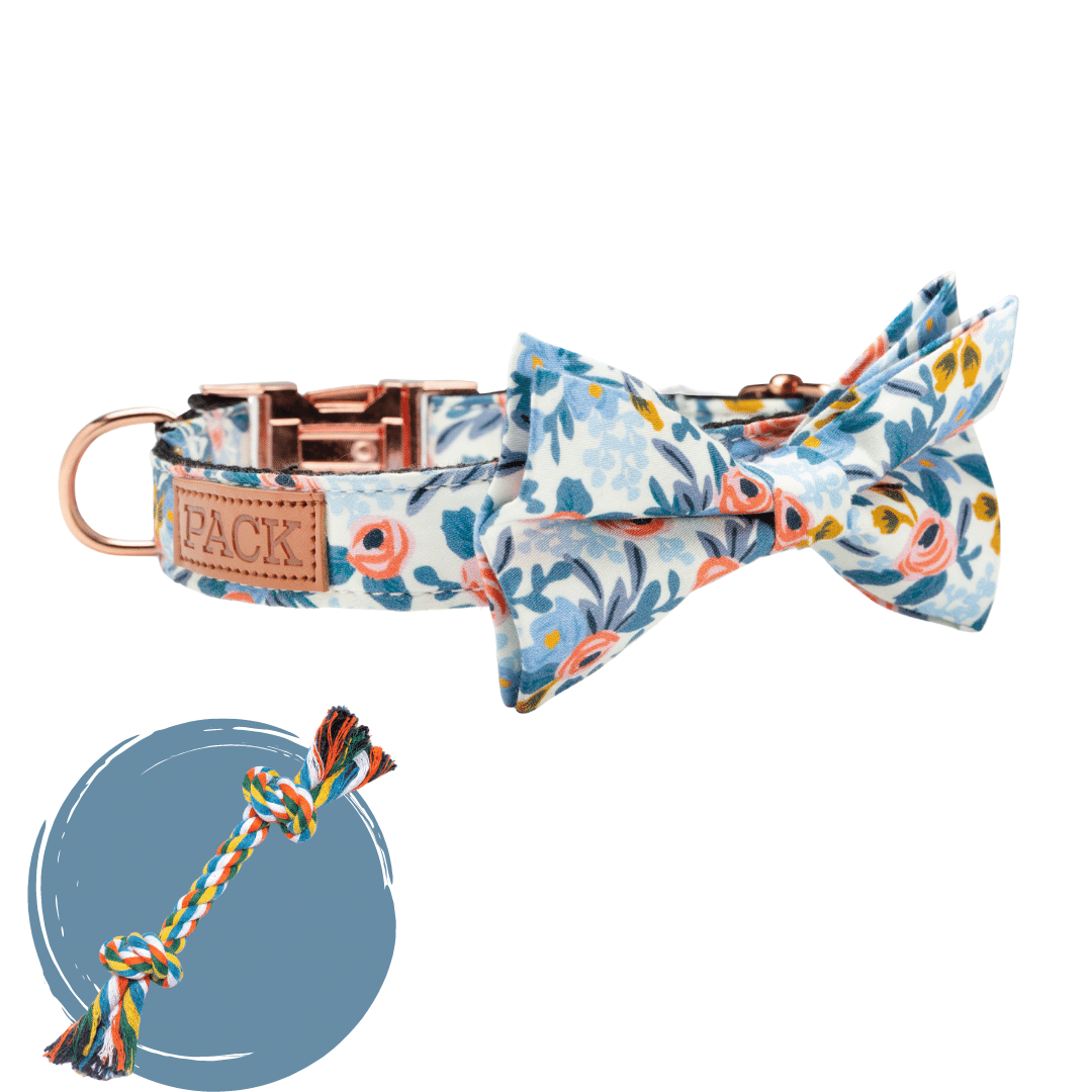 Rosé + Rope Toy - Free Product