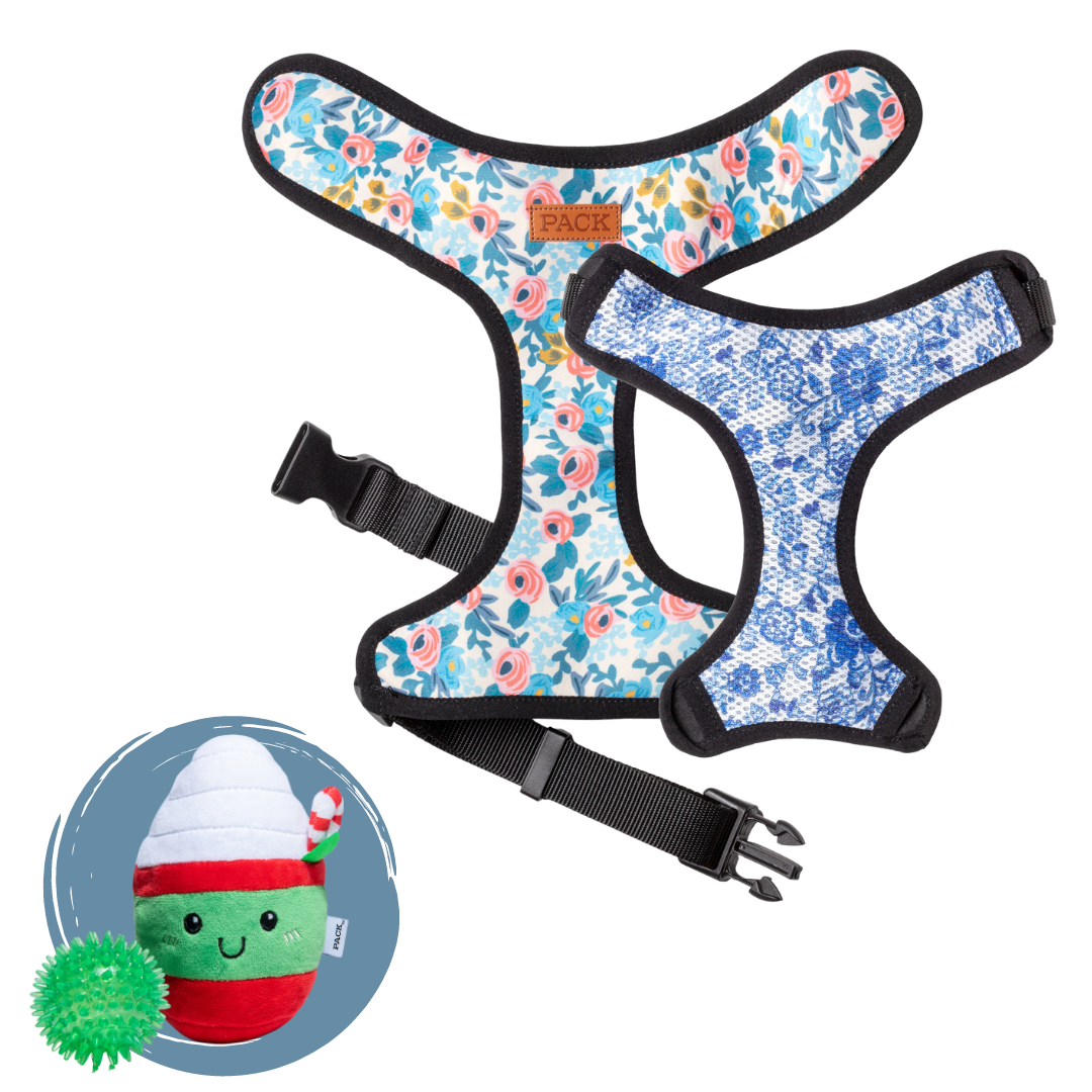 Rosé // Belle + Minty Mocha - Free Product