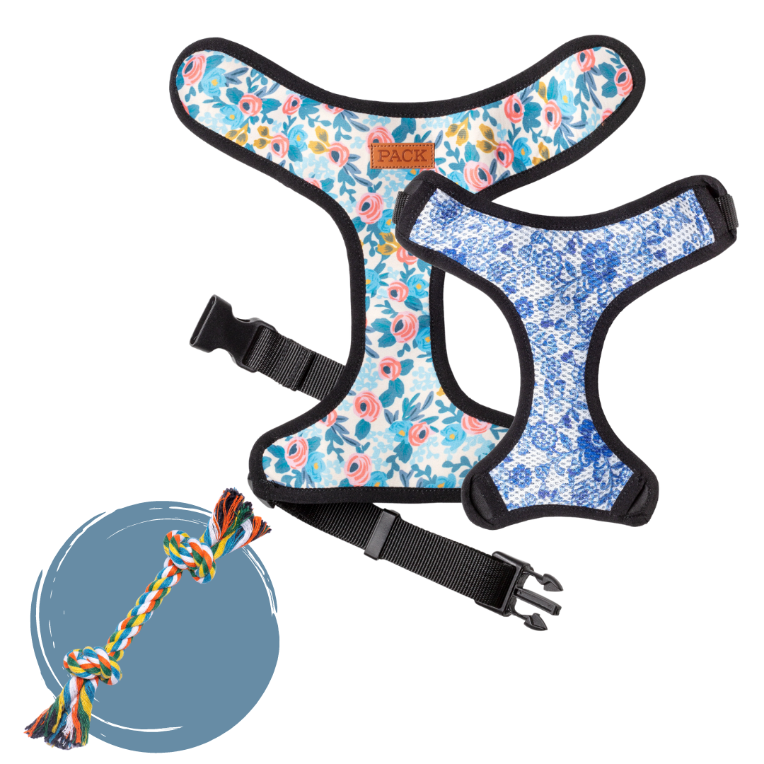 Rosé // Belle + Rope Toy - Free Product