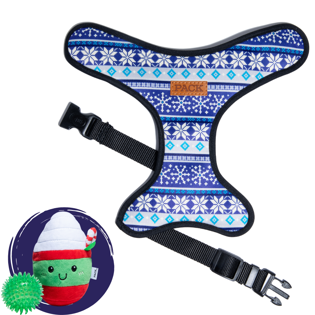 The Sweater // Snow + Minty Mocha - Free Product