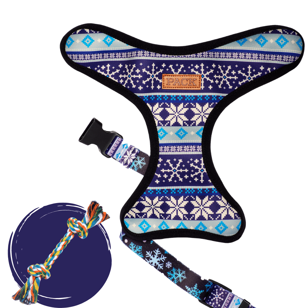 The Sweater // Snow + Rope Toy - Free Product