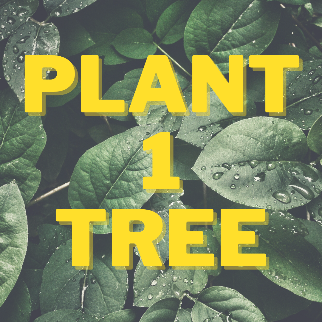 Tree Alliance - Plant 1 Tree