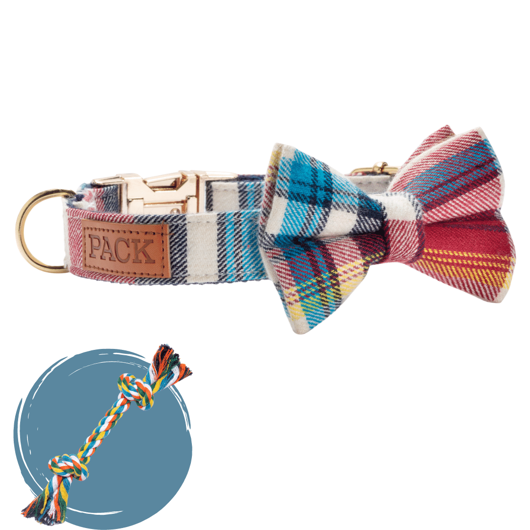 The Winston + Rope Toy - Free Product