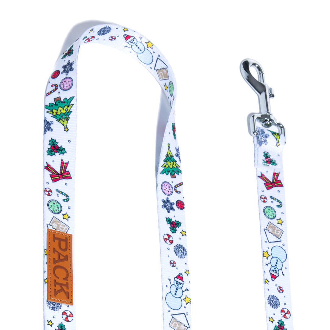 Winter Wonderland II Matching Leash + Minty Mocha - Free